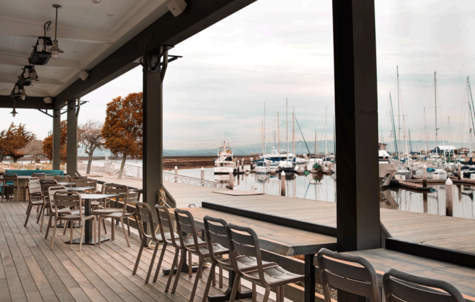 Screenshot 2026-03-23 at 10.15.38 AM